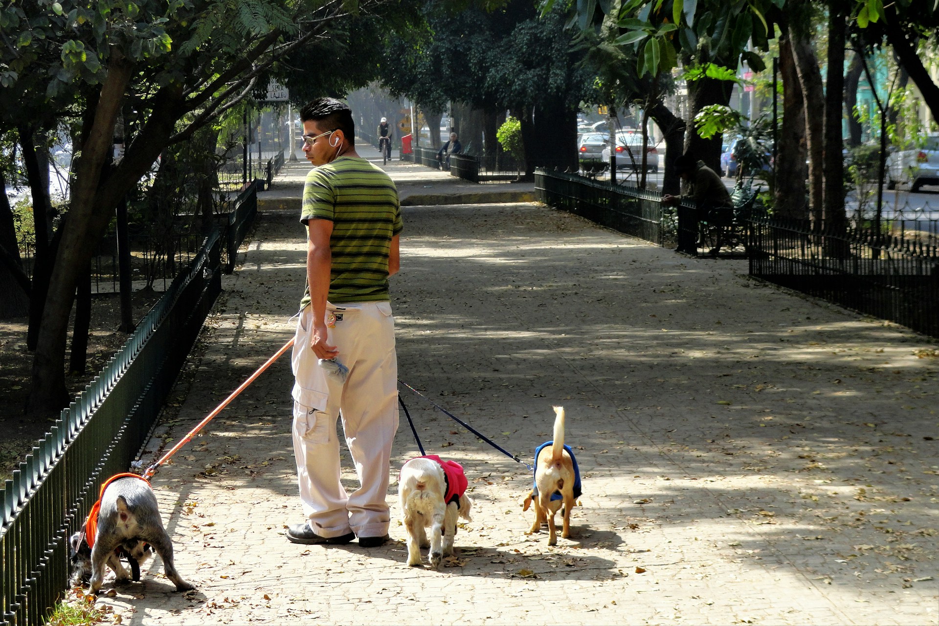 Condesa